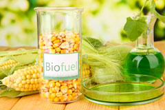 Llanrhos biofuel availability