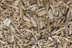 biomass boilers Llanrhos